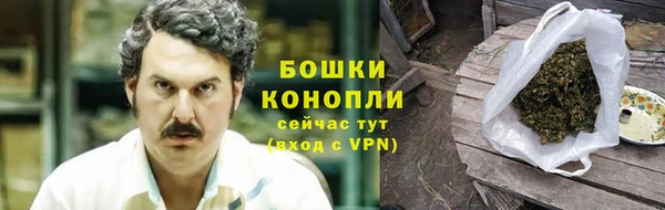 ПСИЛОЦИБИНОВЫЕ ГРИБЫ Каменка