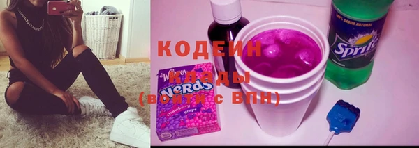 хмурый Карпинск