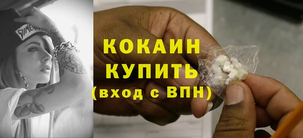 ПСИЛОЦИБИНОВЫЕ ГРИБЫ Каменка