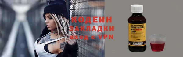 хмурый Карпинск