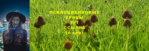 кокаин Каменногорск