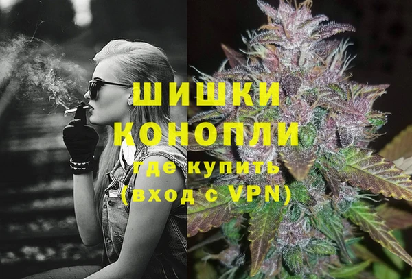 ПСИЛОЦИБИНОВЫЕ ГРИБЫ Каменка