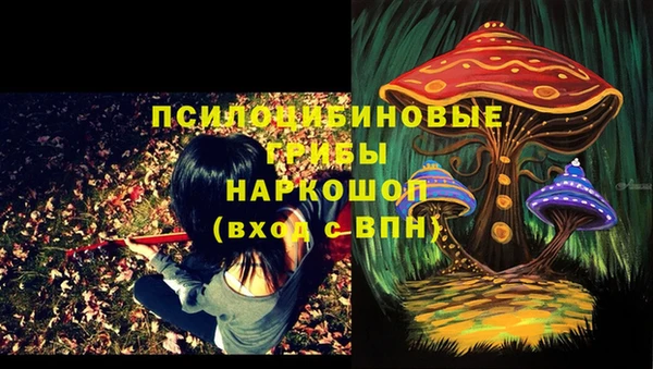 твердый Касимов